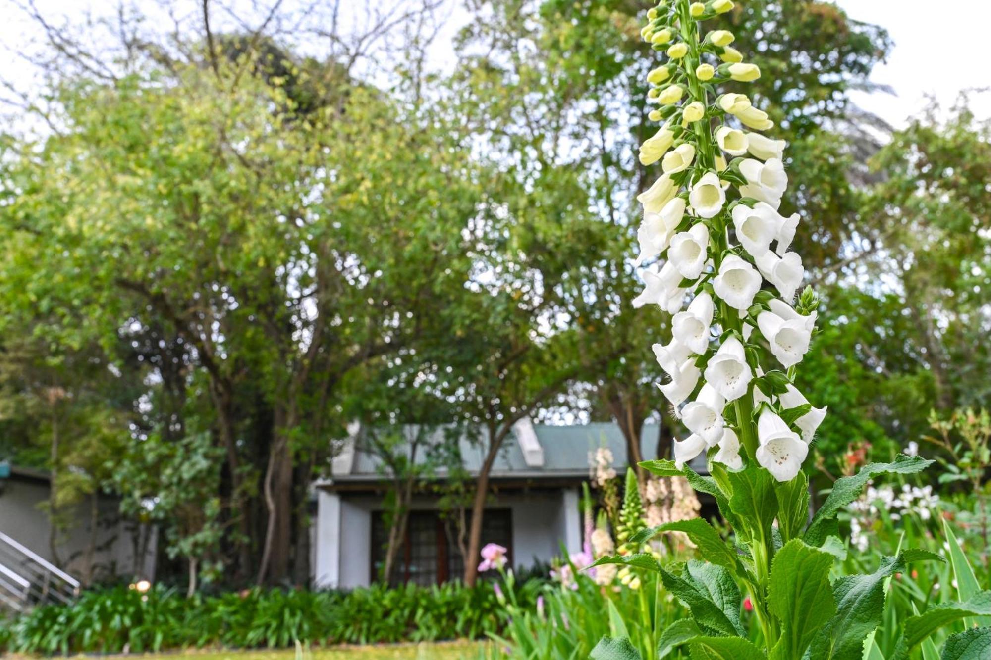 Woodall Country House And Spa Addo Eksteriør billede