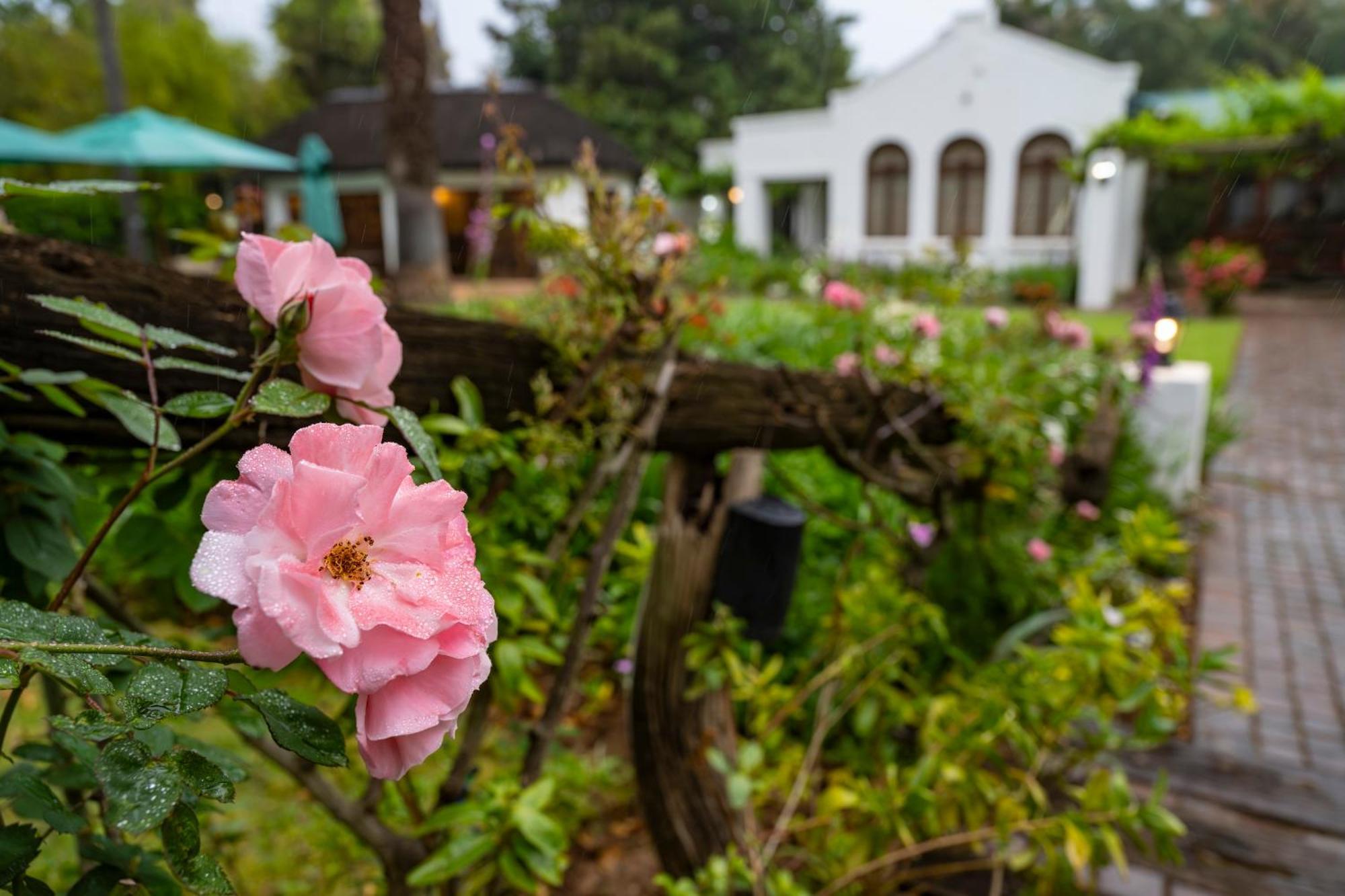Woodall Country House And Spa Addo Eksteriør billede