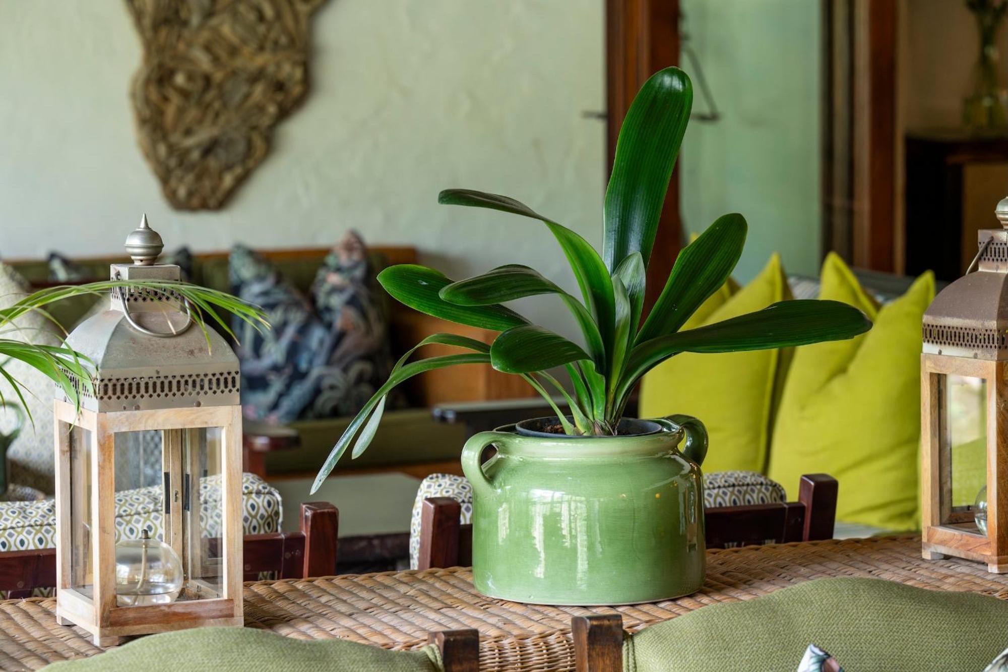 Woodall Country House And Spa Addo Eksteriør billede
