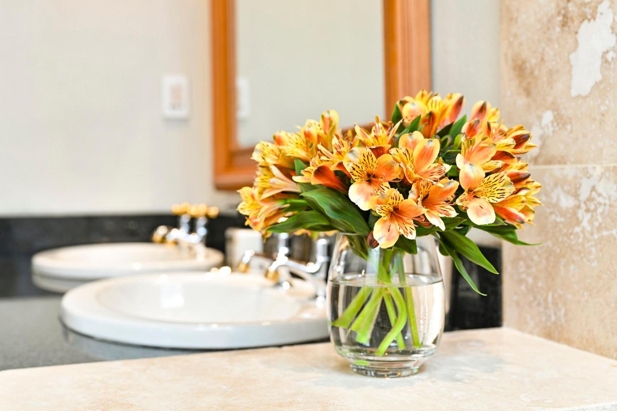Woodall Country House And Spa Addo Eksteriør billede