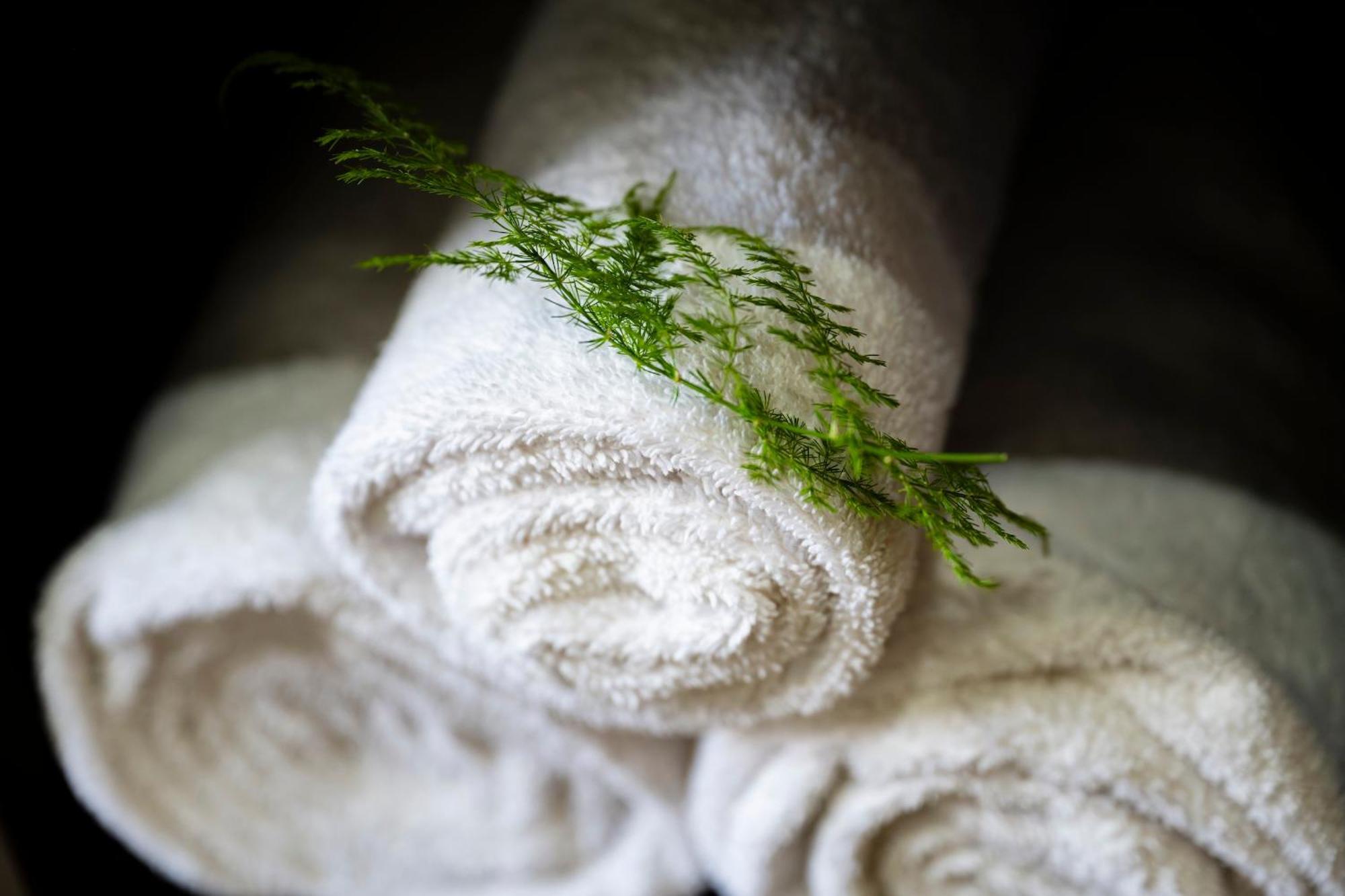 Woodall Country House And Spa Addo Eksteriør billede